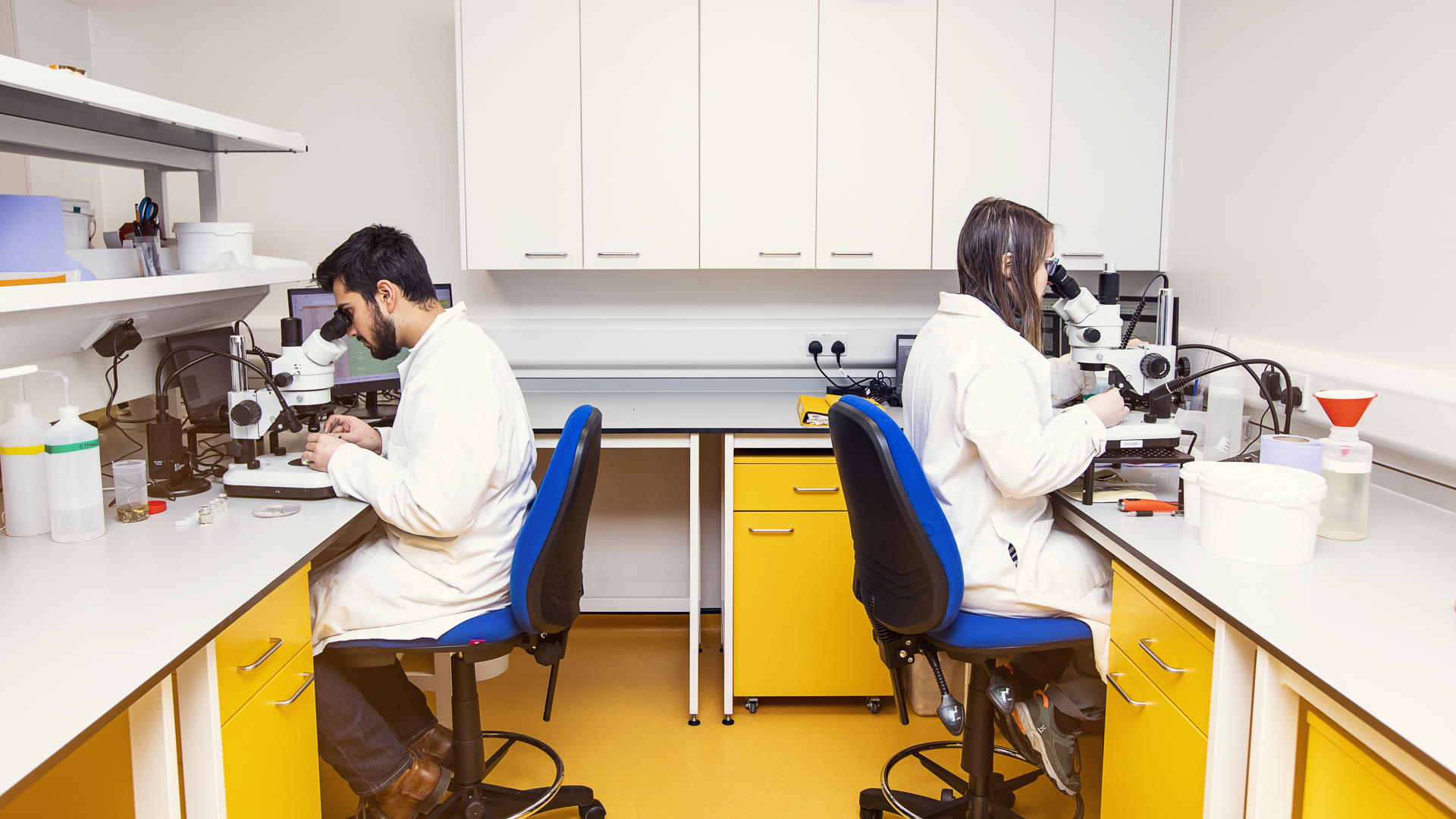 two researchers looking through microscopes studying sea organisms at the European Marine science park